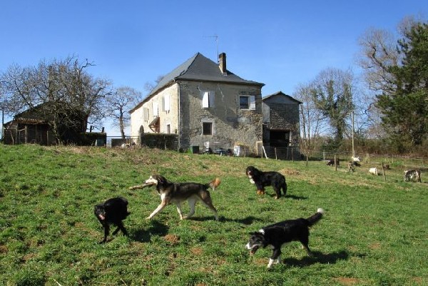 L'Adresse du Chien, pension canine et féline.<br />
Éducateur canin comportementaliste.<br />
Située à côté de Navarrenx, à proximité d'Oloron-Sainte-Marie, Orthez, Mauléon, Saint-Palais, Mourenx, Monein... dans les Pyrénées-Atlantiques (64)