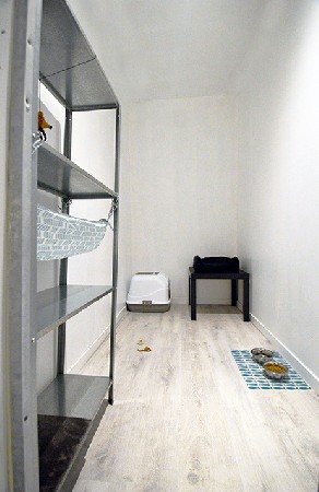 Des chambres individuelles avec un panier, plusieurs plateformes à différents niveaux, un griffoir, des jouets et un hamac.